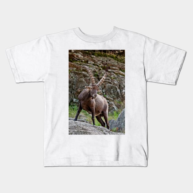 Ibex Kids T-Shirt by jaydee1400